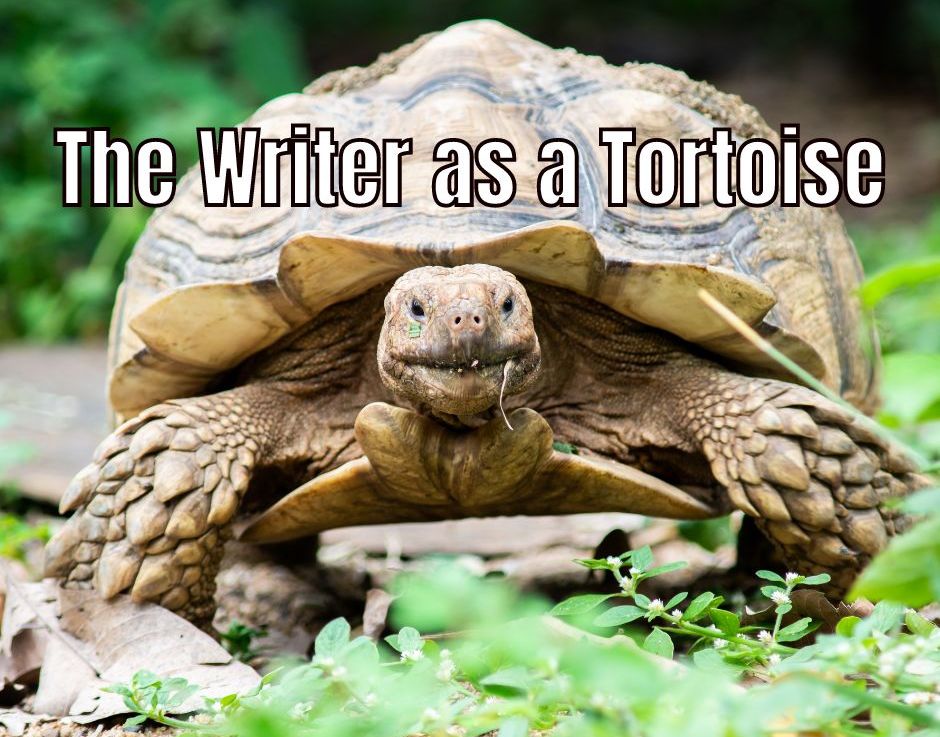 The Writer as a Tortoise.